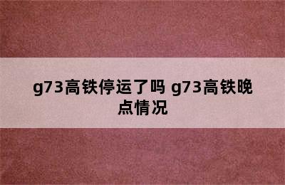 g73高铁停运了吗 g73高铁晚点情况